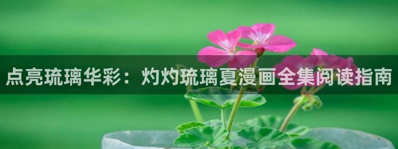 免费腐漫画网址：点亮琉璃华彩：灼灼琉璃夏漫画全集阅读指南